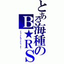 とある海種のＢ★ＲＳ（ブラック★ロックシューター）