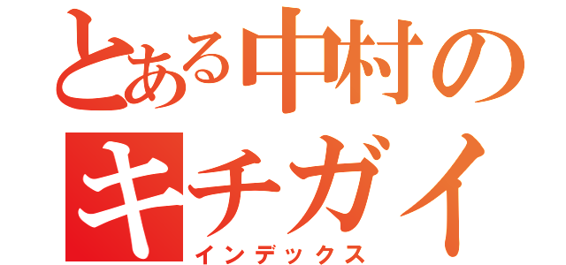 とある中村のキチガイ（インデックス）