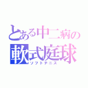 とある中二病の軟式庭球（ソフトテニス）