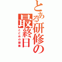 とある研修の最終日（とどめの探索）