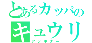 とあるカッパのキュウリ（アッキナー）