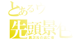 とあるウマ娘の先頭景色（異次元の逃亡者）