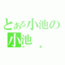 とある小池の小池（小池）