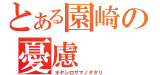 とある園崎の憂慮（オヤシロサマノタタリ）