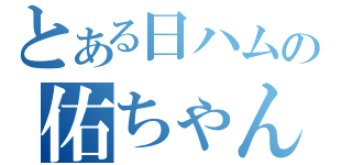 とある日ハムの佑ちゃんまるち（）