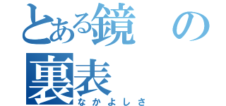 とある鏡の裏表（なかよしさ）