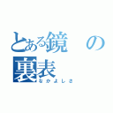 とある鏡の裏表（なかよしさ）