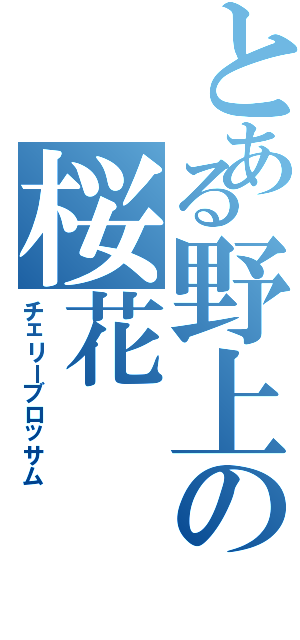 とある野上の桜花（チェリーブロッサム）