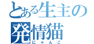 とある生主の発情猫（にゃんこ）