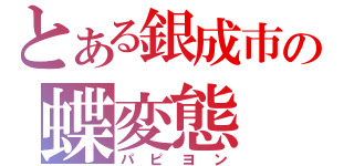 とある銀成市の蝶変態（パピヨン）