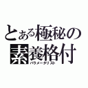 とある極秘の素養格付（パラメータリスト）