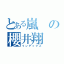 とある嵐の櫻井翔（インデックス）