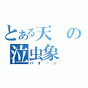 とある天の泣虫象（パオ～ン）