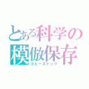 とある科学の模倣保存（コピーストック）