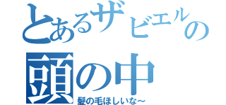 とあるザビエルの頭の中（髪の毛ほしいな～）