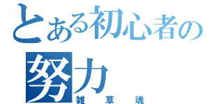 とある初心者の努力（雑草魂）