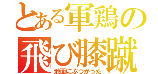 とある軍鶏の飛び膝蹴り（地面にぶつかった）