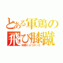 とある軍鶏の飛び膝蹴り（地面にぶつかった）