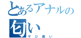 とあるアナルの匂い（マジ臭い）