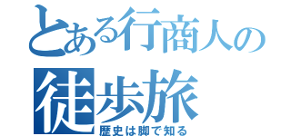 とある行商人の徒歩旅（歴史は脚で知る）