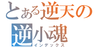 とある逆天の逆小魂（インデックス）