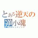 とある逆天の逆小魂（インデックス）