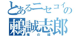 とあるニセコイの鶫誠志郎（俺の嫁）