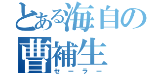 とある海自の曹補生（セーラー）