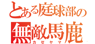 とある庭球部の無敵馬鹿（カゼヤマ）