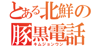 とある北鮮の豚黒電話（キムジョンウン）