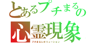 とあるプチまるの心霊現象（プチまるレボリューション）