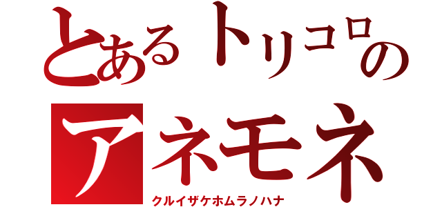 とあるトリコロのアネモネ（クルイザケホムラノハナ）