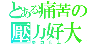 とある痛苦の壓力好大（努力向上）