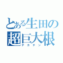 とある生田の超巨大根（デカチン）