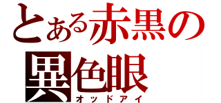 とある赤黒の異色眼（オッドアイ）