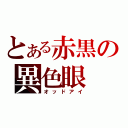 とある赤黒の異色眼（オッドアイ）