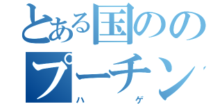 とある国ののプーチン（ハゲ）