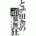 とある田舎の頑駄無狂（ガンダムだ）