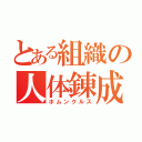 とある組織の人体錬成（ホムンクルス）