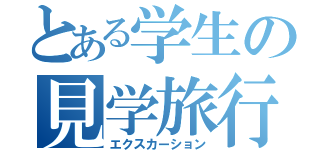 とある学生の見学旅行（エクスカーション）