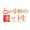 とある小野のネット生活（パラダイス）