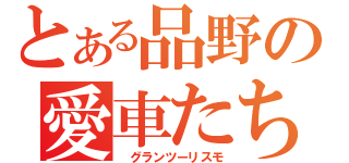 とある品野の愛車たち（ グランツーリスモ）