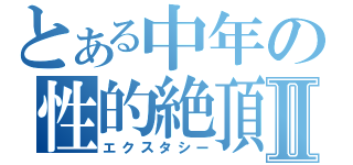 とある中年の性的絶頂Ⅱ（エクスタシー）