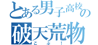 とある男子高校生の破天荒物語（こぶ！）