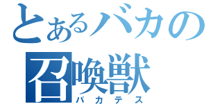 とあるバカの召喚獣（バカテス）