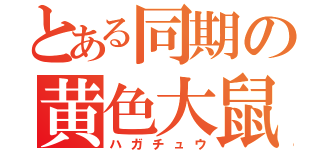 とある同期の黄色大鼠（ハガチュウ）