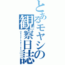 とあるモヤシの観察日誌（Ｏｂｓｅｒｖａｔｉｏｎ）