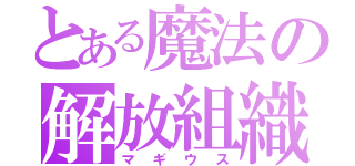 とある魔法の解放組織（マギウス）