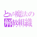 とある魔法の解放組織（マギウス）