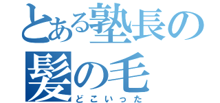 とある塾長の髪の毛（どこいった）